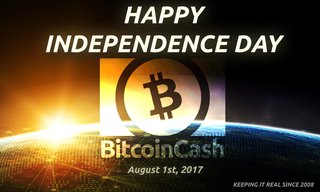 <h3><a href="http://ohmysatoshi.com/bchday-2018" target="_blank">1st Bitcoin Cash Anniversary</a></h3>